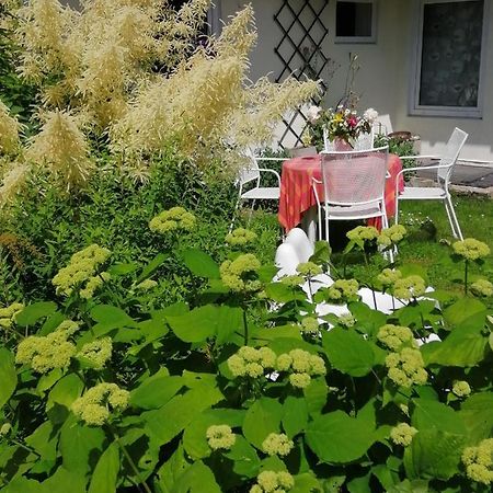 הוילה Secret Garden House In The Center Of סיגולדה מראה חיצוני תמונה