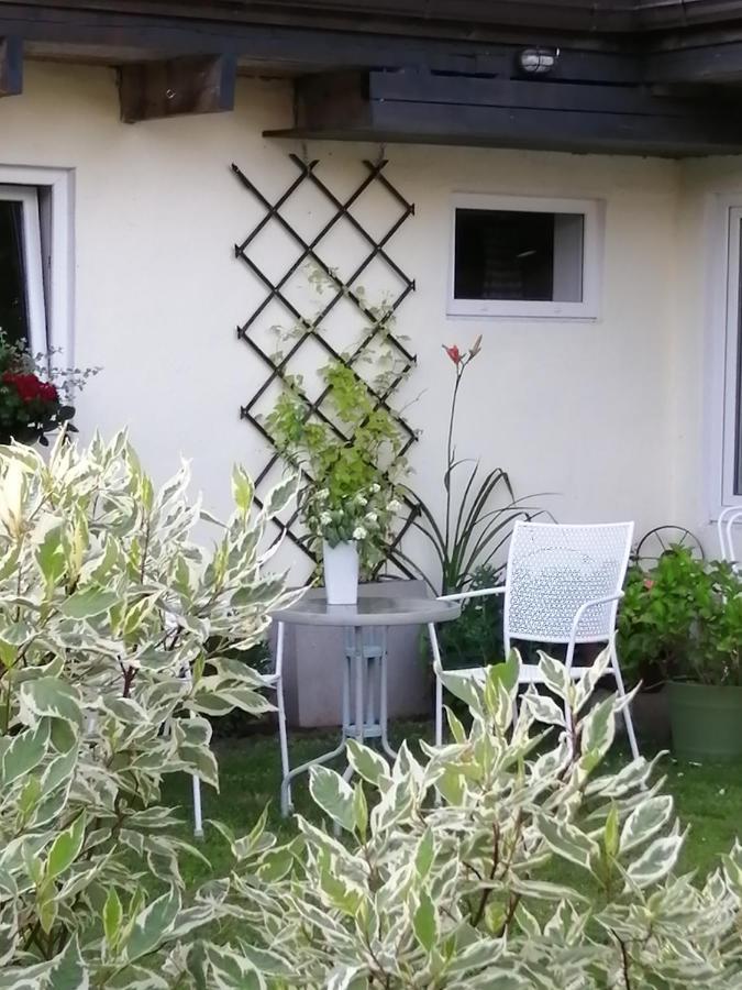 הוילה Secret Garden House In The Center Of סיגולדה מראה חיצוני תמונה