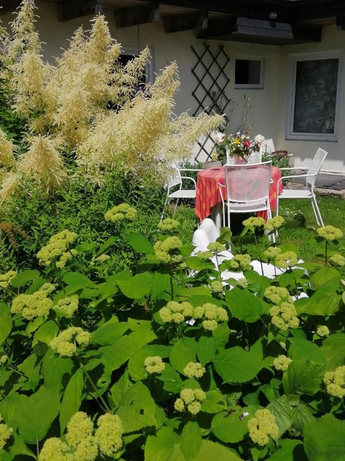 הוילה Secret Garden House In The Center Of סיגולדה מראה חיצוני תמונה